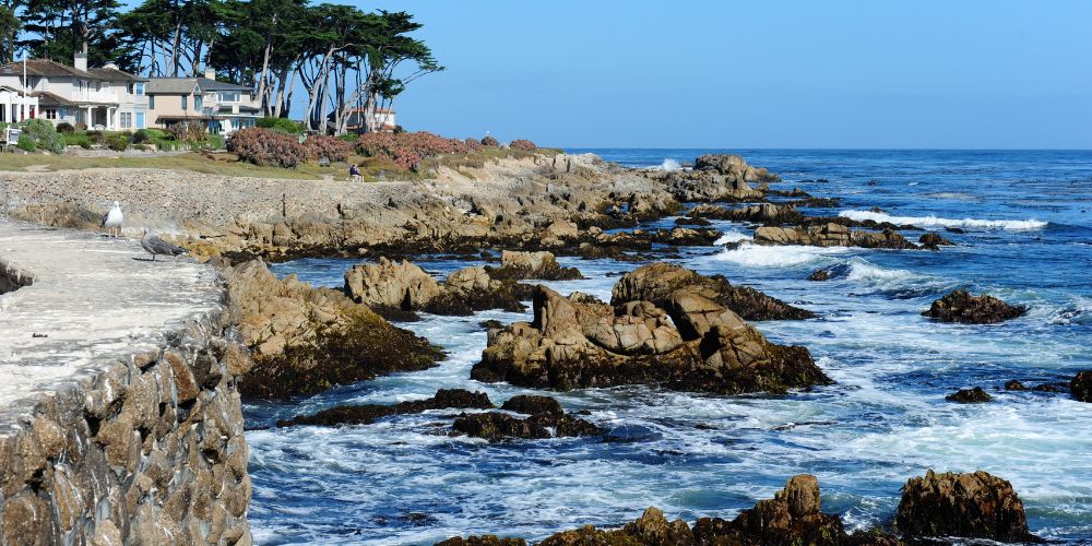 Monterey Area Beaches
