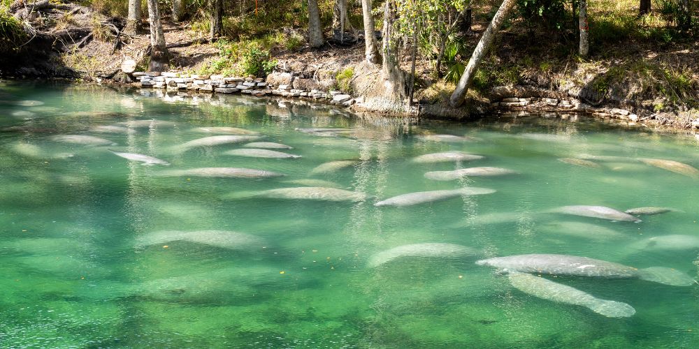 Crystal River, Florida