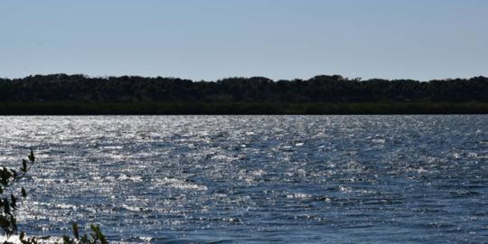 Mosquito Lagoon, Florida