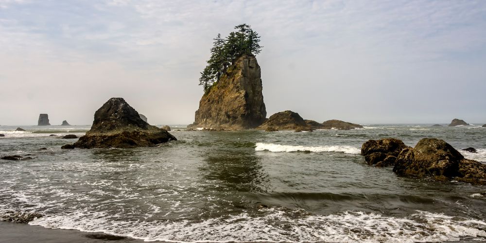 La Push Beach
