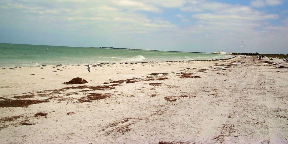 Caladesi Island State Park, Florida