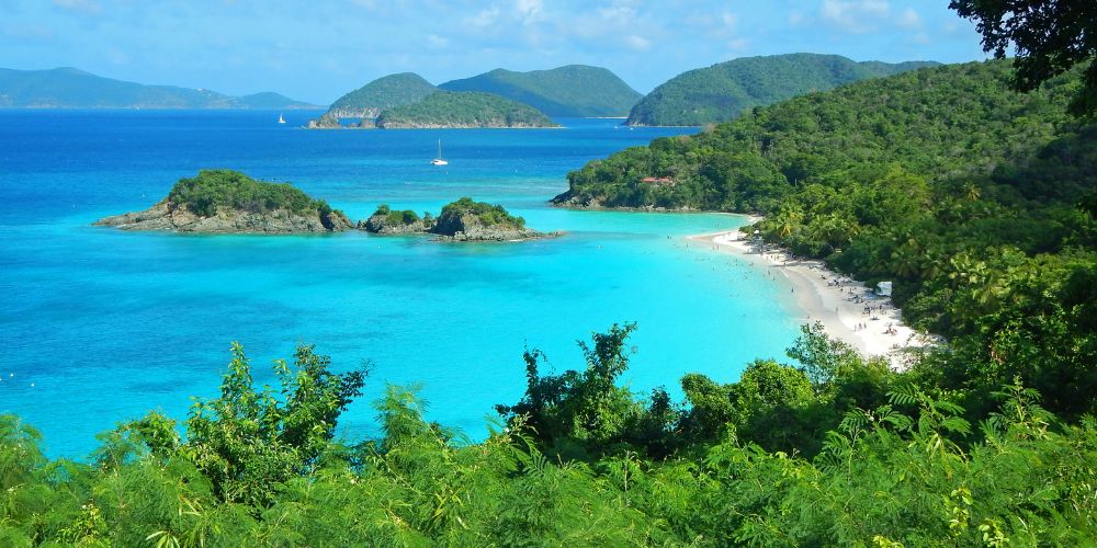 Trunk Bay