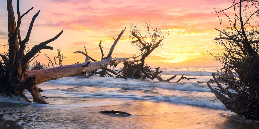 Boneyard Beach, South Carolina