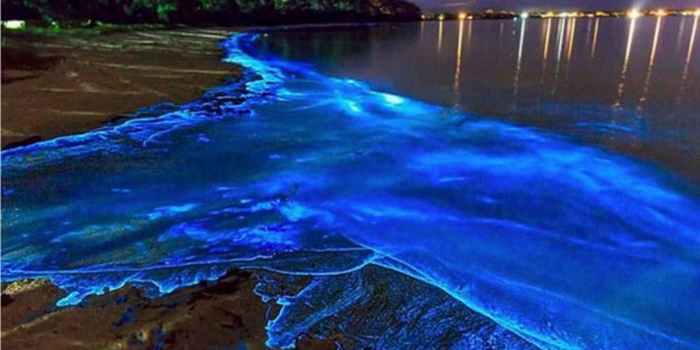 Laguna Grande, Puerto Rico