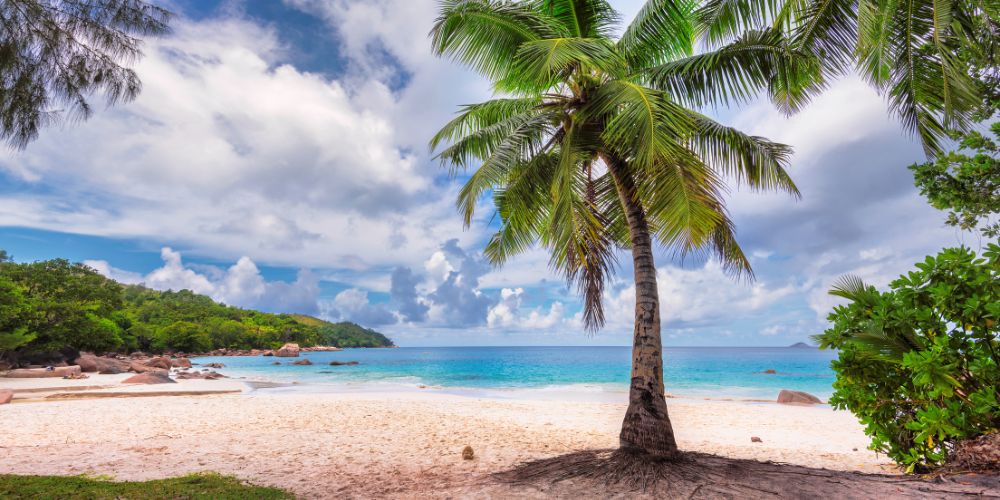 Consider The Season And Weather